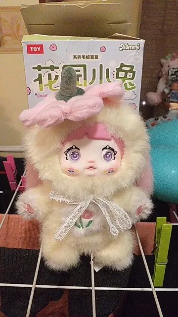 Nommi Anemone Image
