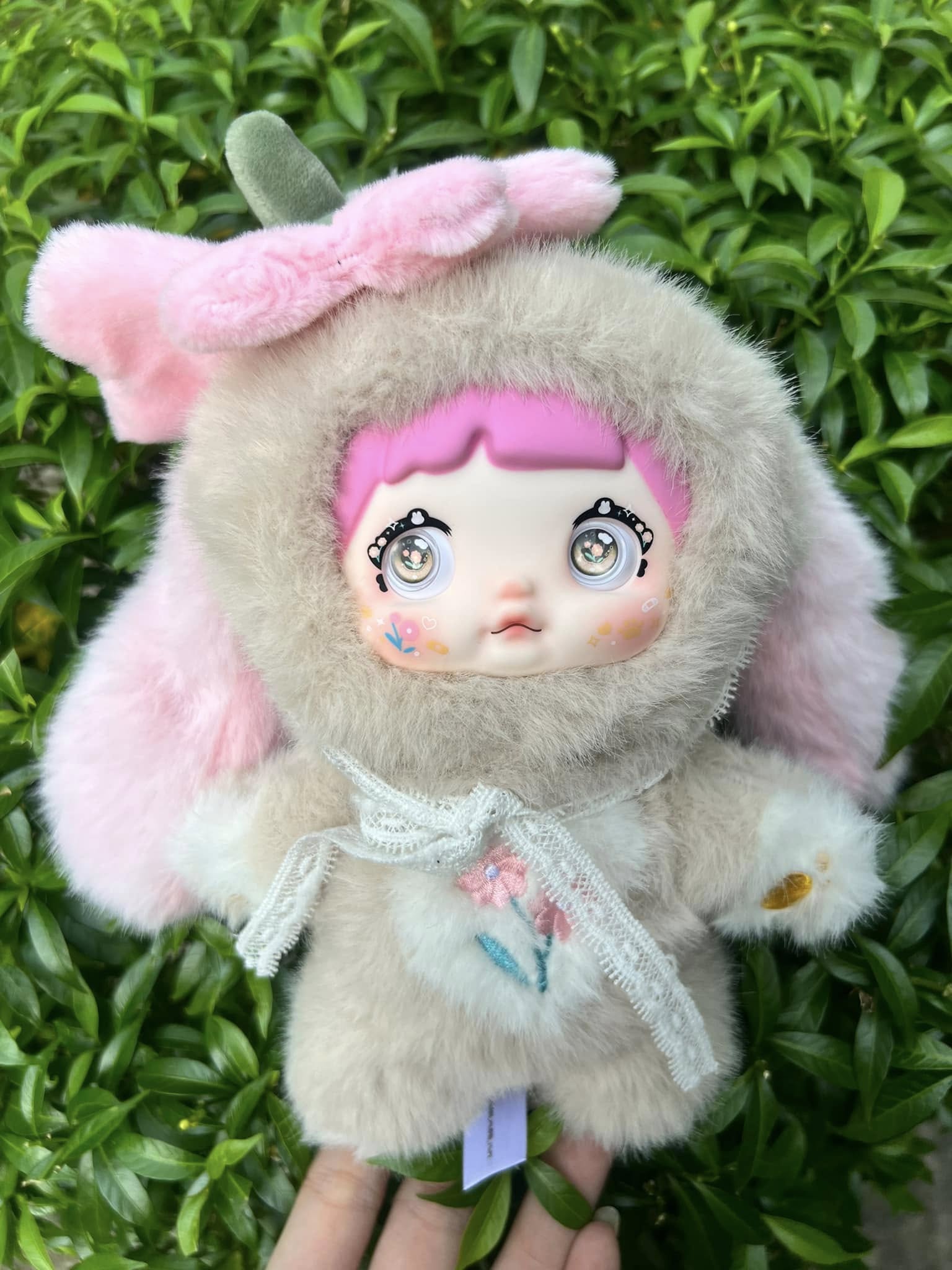 Nommi Anemone Image