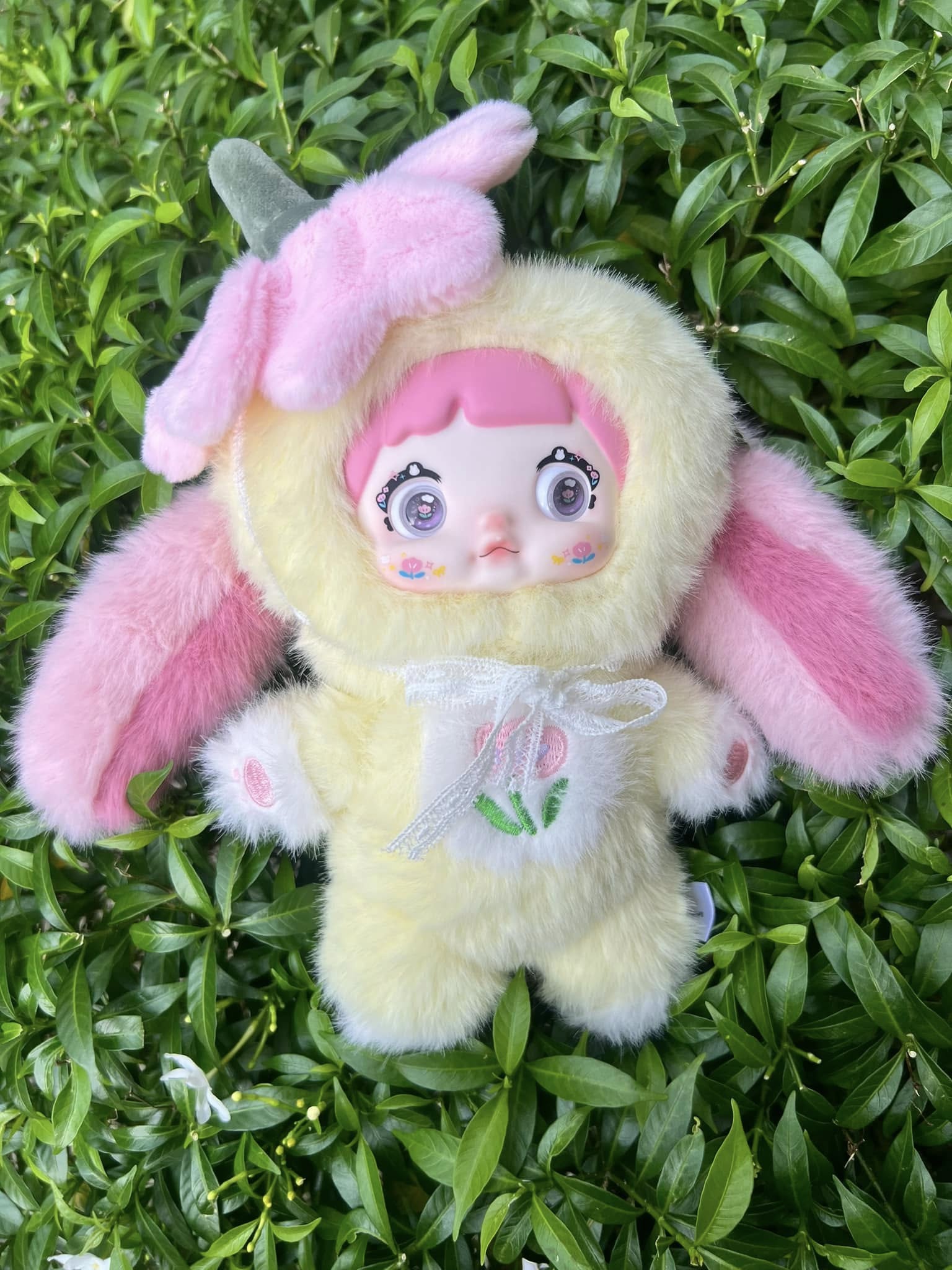 Nommi Yulan Image