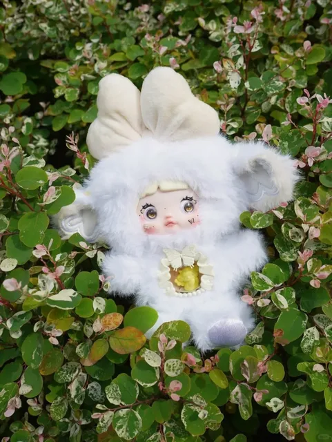 Nommi Aurora Image