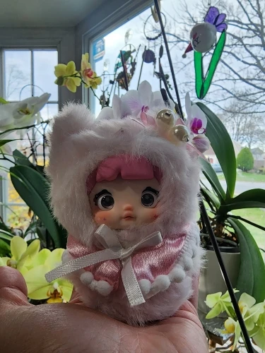 Nommi Peach Babe Image